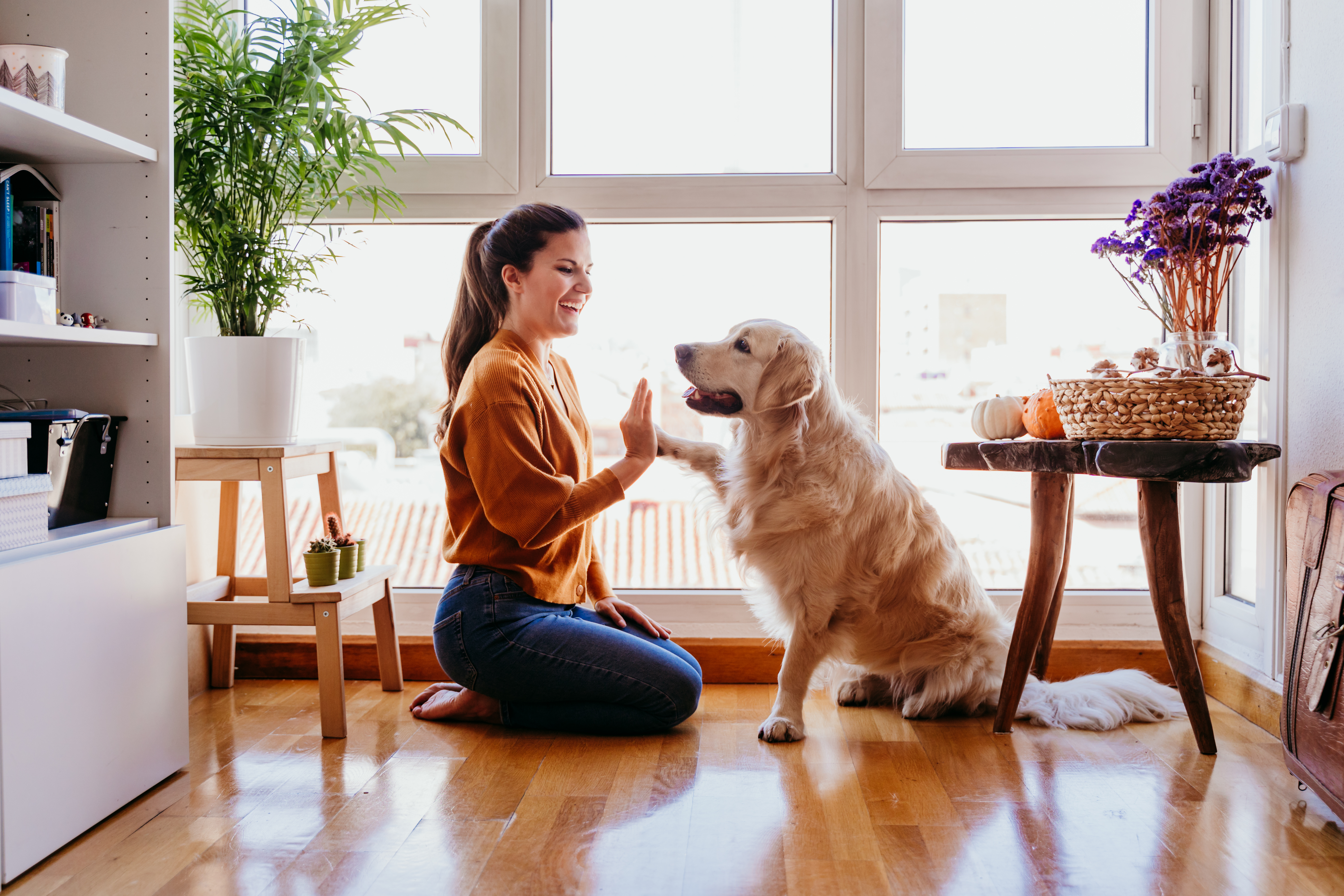 women high-fiving her dog in their home